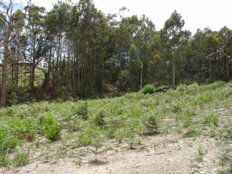 73 Tugrah Road, Devonport TAS 7310