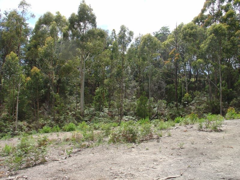 73 Tugrah Road, Devonport TAS 7310