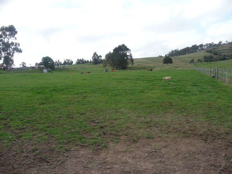 577 Sheffield Road, Acacia Hills TAS 7306