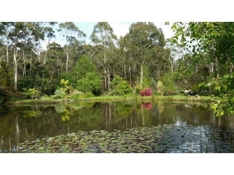 36 Coal Mines Road, Tarleton TAS 7310