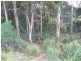 300 Sheffield Road, South Spreyton TAS 7310