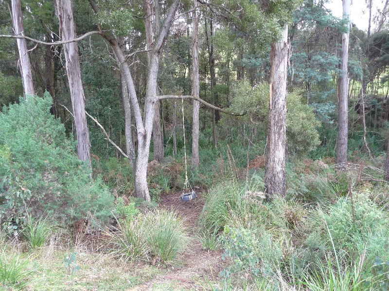 300 Sheffield Road, South Spreyton TAS 7310