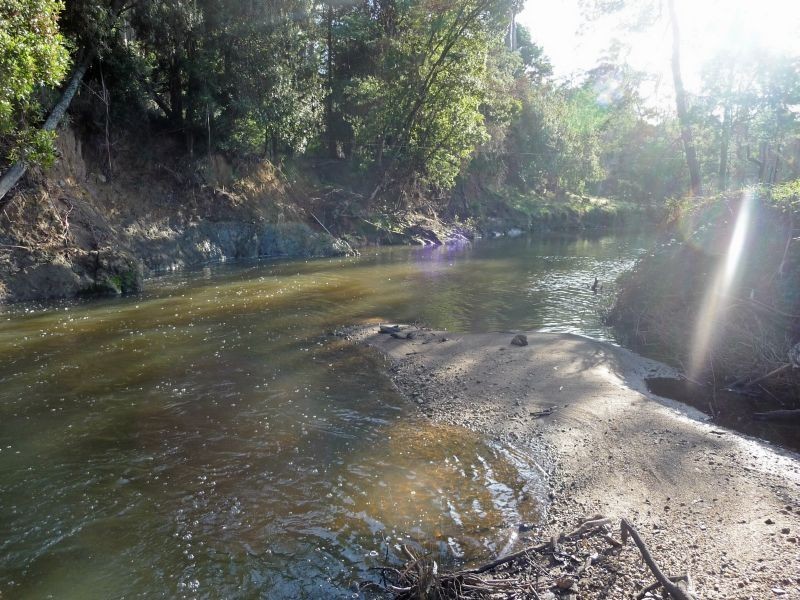 Lot 31 Winifred Avenue, Acacia Hills TAS 7306