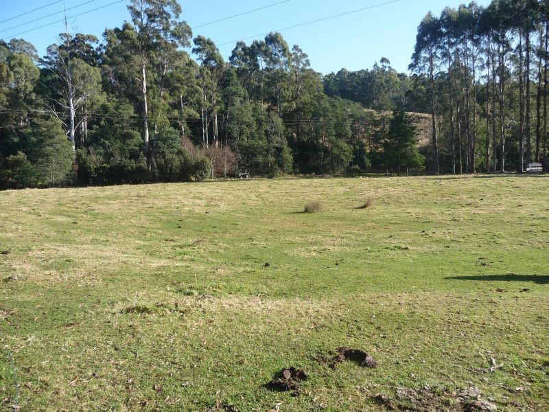 Lot 31 Winifred Avenue, Acacia Hills TAS 7306