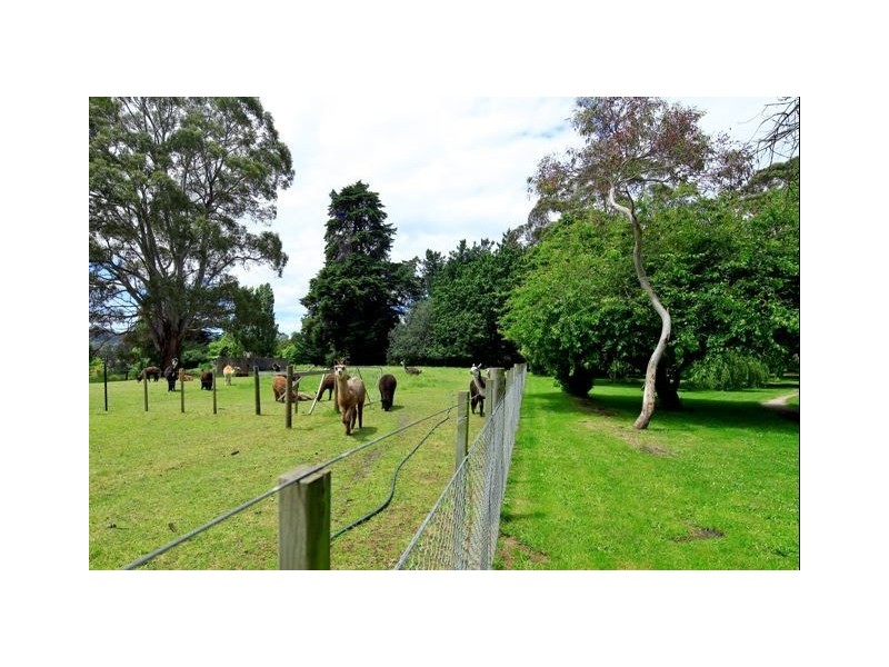 421 Mersey Main Road, Spreyton TAS 7310