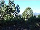 3 Hillwood Rise, Spreyton TAS 7310