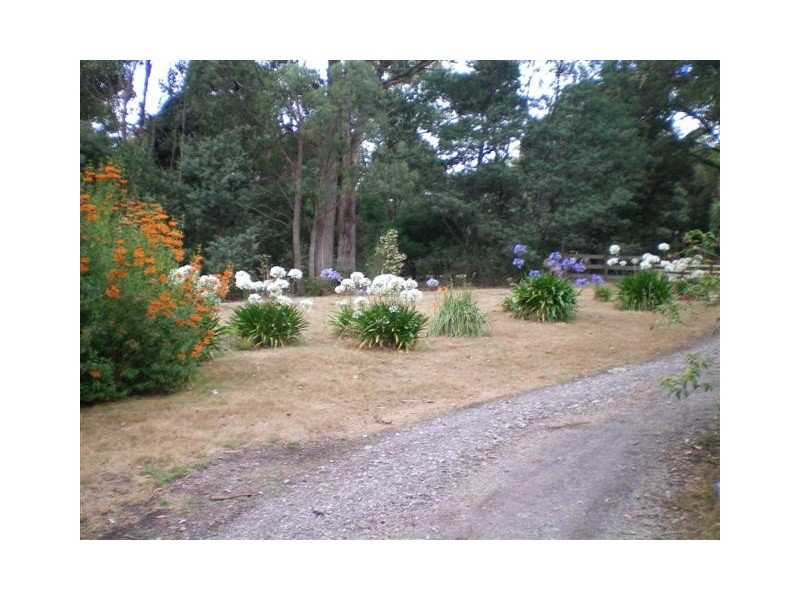 110 McCoys Road, Sheffield TAS 7306