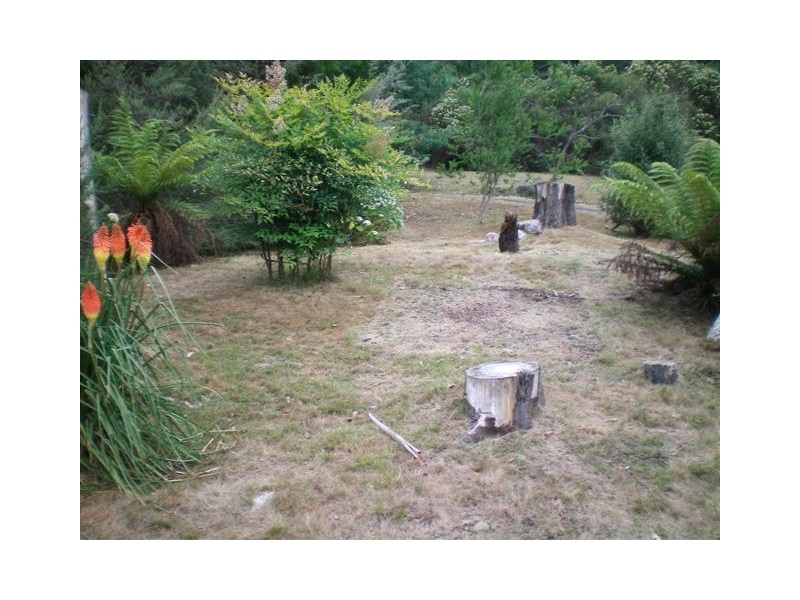 110 McCoys Road, Sheffield TAS 7306