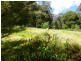 123 McCoys Road, Sheffield TAS 7306
