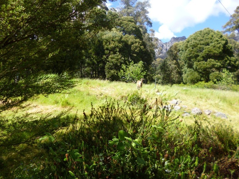123 McCoys Road, Sheffield TAS 7306