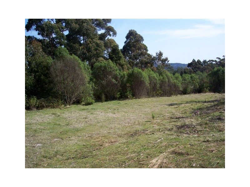 Lot 46 Knox Drive, Spreyton TAS 7310