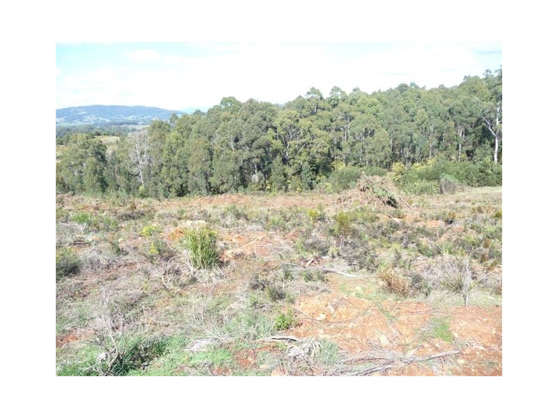 Lot 1 57a Berrigan Road, Miandetta, Devonport TAS 7310