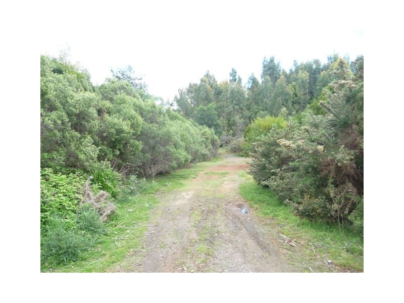 8 Beaumont Drive, Devonport TAS 7310