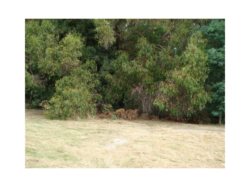 90 Knox Drive, Spreyton TAS 7310
