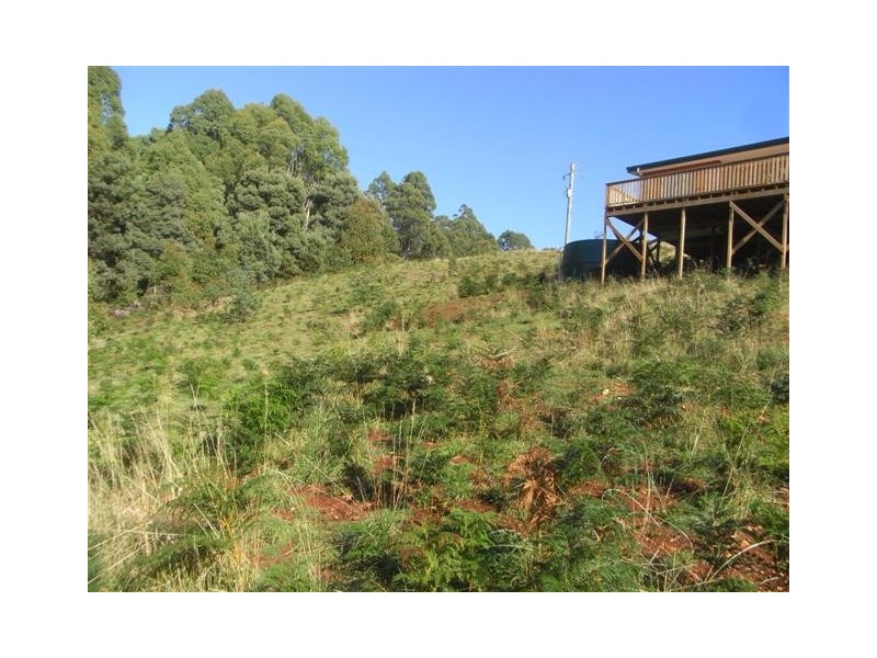 218 Buxtons Road, Wilmot, Wilmot TAS 7310