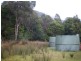800 Lowanna Road, Gunns Plains TAS 7315