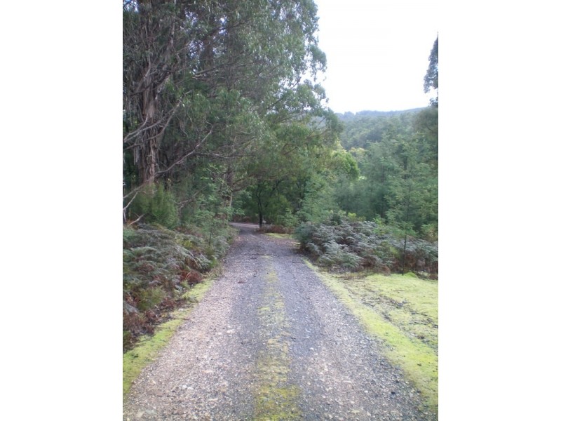 800 Lowanna Road, Gunns Plains TAS 7315