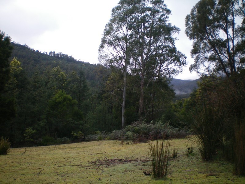 800 Lowanna Road, Gunns Plains TAS 7315