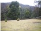 800 Lowanna Road, Gunns Plains TAS 7315