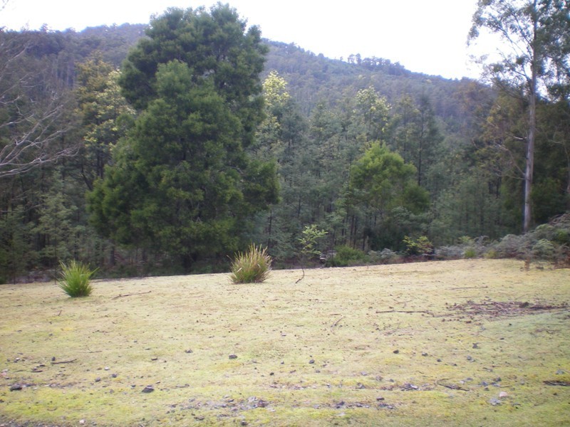 800 Lowanna Road, Gunns Plains TAS 7315