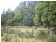 800 Lowanna Road, Gunns Plains TAS 7315