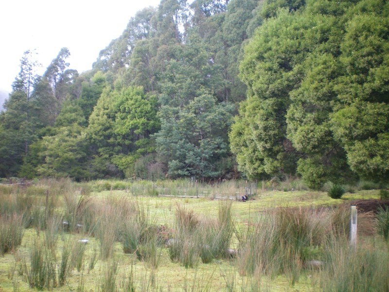 800 Lowanna Road, Gunns Plains TAS 7315