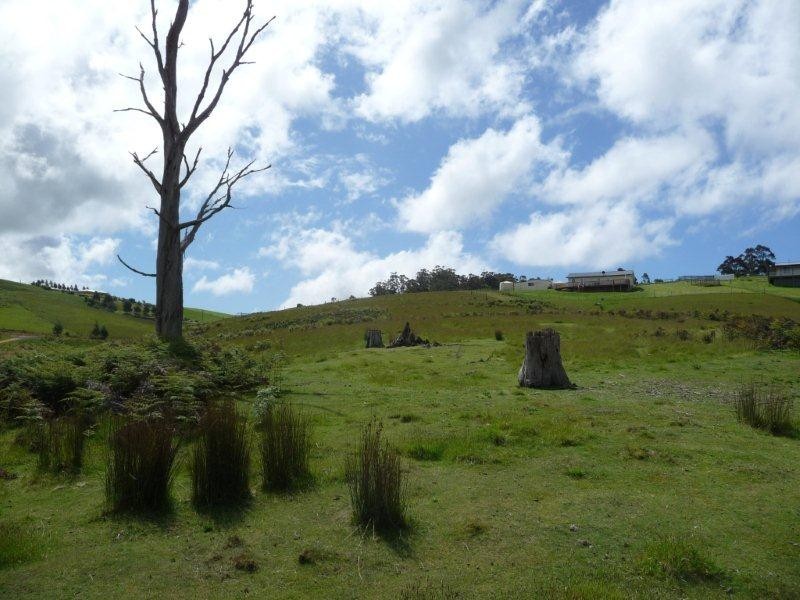 34 Roope Road, Lower Barrington TAS 7306