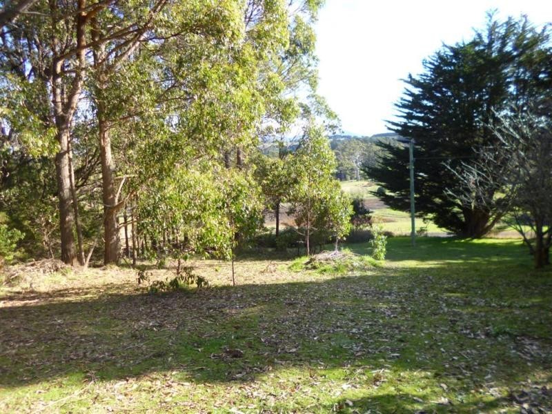 29 Swamp Road, Kindred TAS 7310