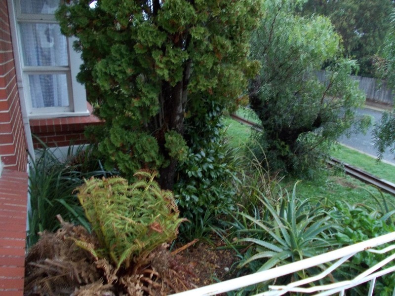 23 Croft Avenue, Devonport TAS 7310