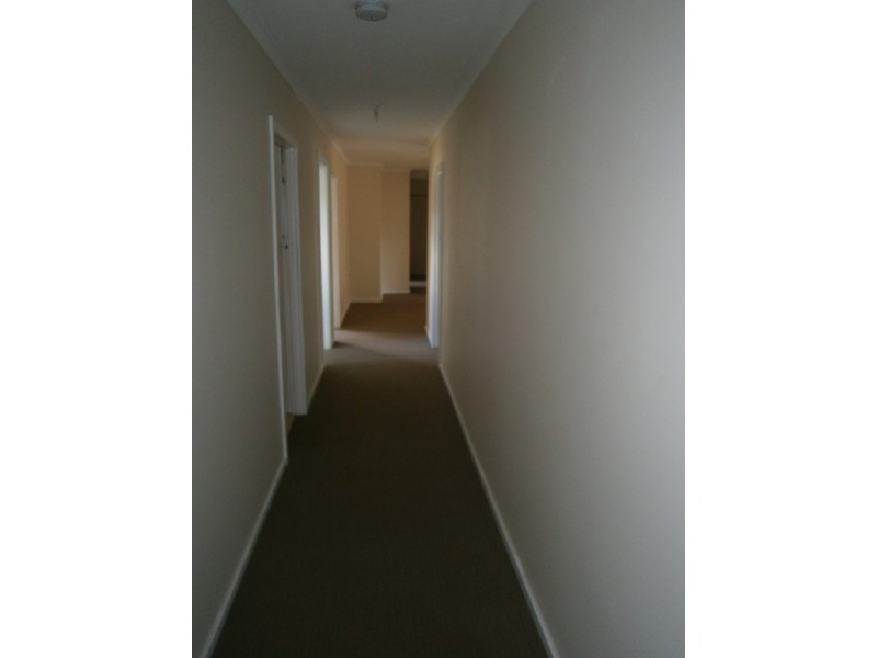 911 Staverton Road, Sheffield TAS 7306