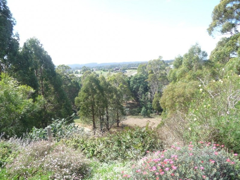 51 Knox Drive, South Spreyton TAS 7310