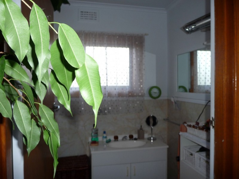 31 James Street, Devonport TAS 7310