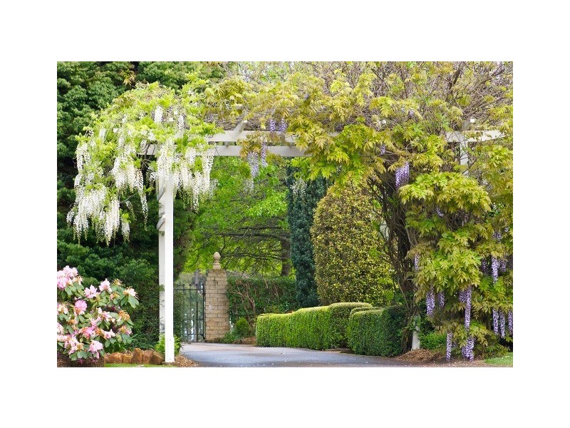 6144 Frankford Highway, Wesley Vale TAS 7307