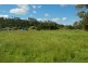 118a Beach Road, Leith TAS 7315