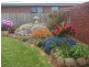 589 Preston Road, North Motton, Ulverstone TAS 7315