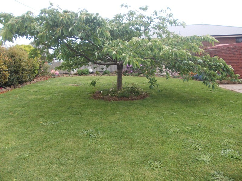 589 Preston Road, North Motton, Ulverstone TAS 7315