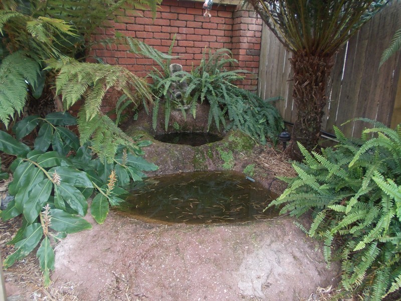 589 Preston Road, North Motton, Ulverstone TAS 7315
