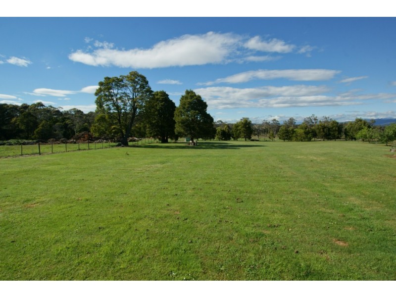 87 Moriarty Road, Latrobe TAS 7307