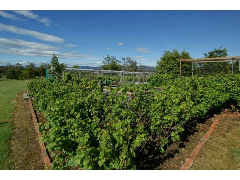87 Moriarty Road, Latrobe TAS 7307