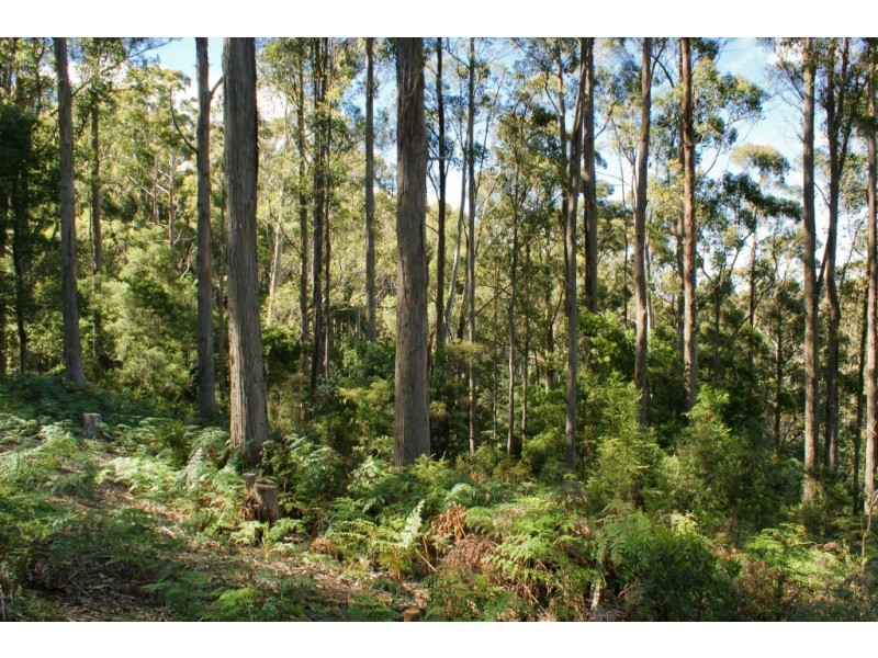 6 Talbor Court, Aberdeen TAS 7310