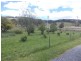 566 Sheffield Road, Acacia Hills, Spreyton TAS 7310