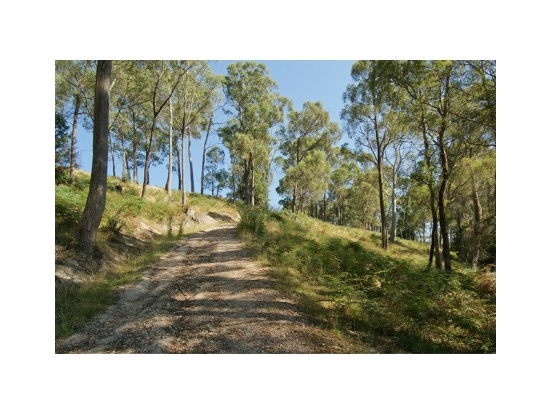 91 Coal Hill Road, Latrobe TAS 7307