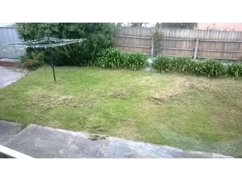 20 Amber Court, Ulverstone TAS 7315