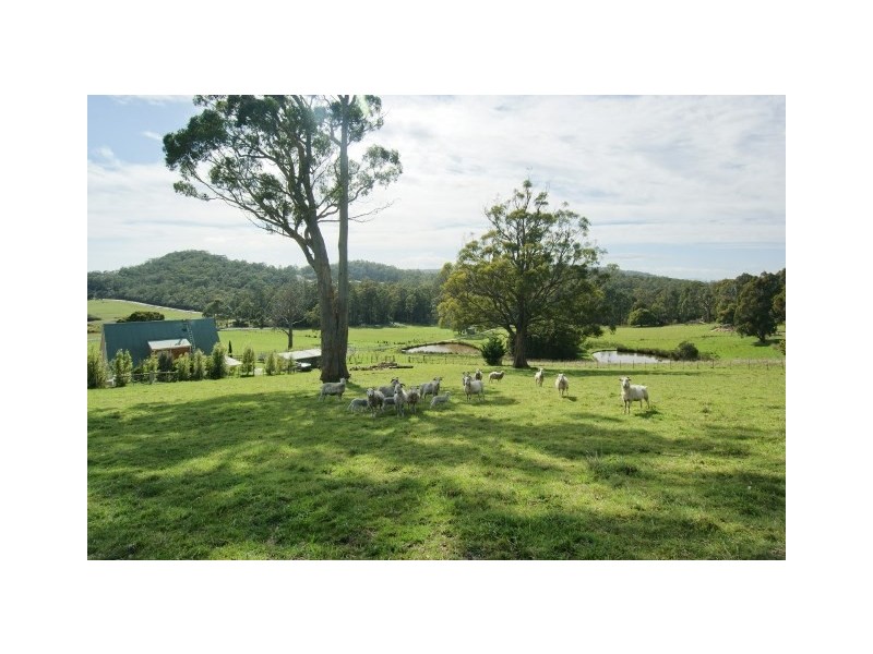 211 Bellamy Road, Forthside TAS 7310
