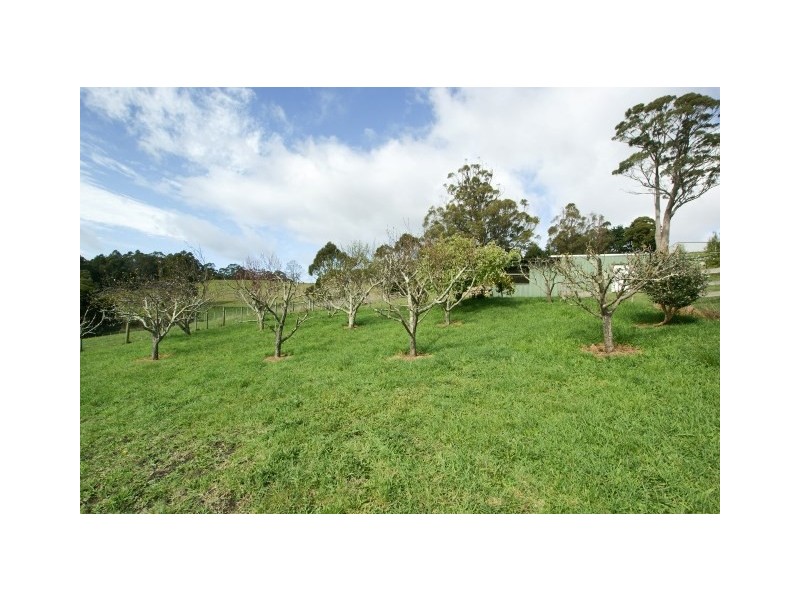 211 Bellamy Road, Forthside TAS 7310