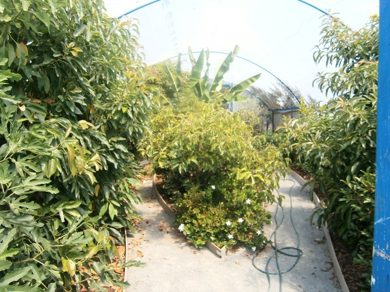 587 West Kentish Road, West Kentish TAS 7306