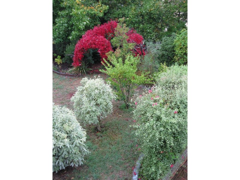 59 Wenvoe Street, Devonport TAS 7310