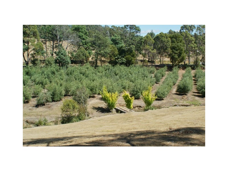 18 Wattle Valley Road, Acacia Hills TAS 7306