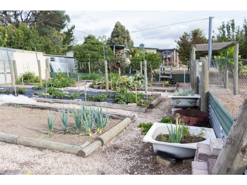 2 Winifred Avenue, Acacia Hills TAS 7306