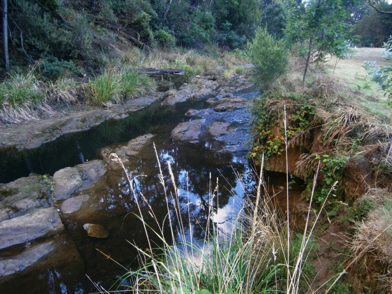 2 Winifred Avenue, Acacia Hills TAS 7306